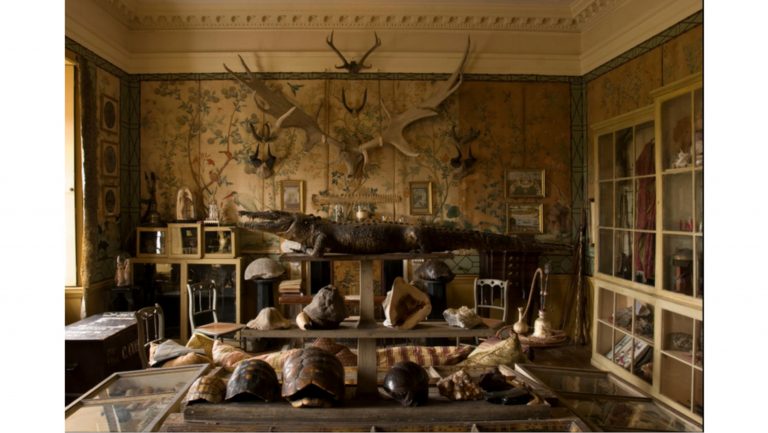 Secretos de viajeros