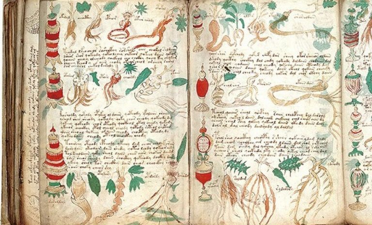 El reino de las plantas